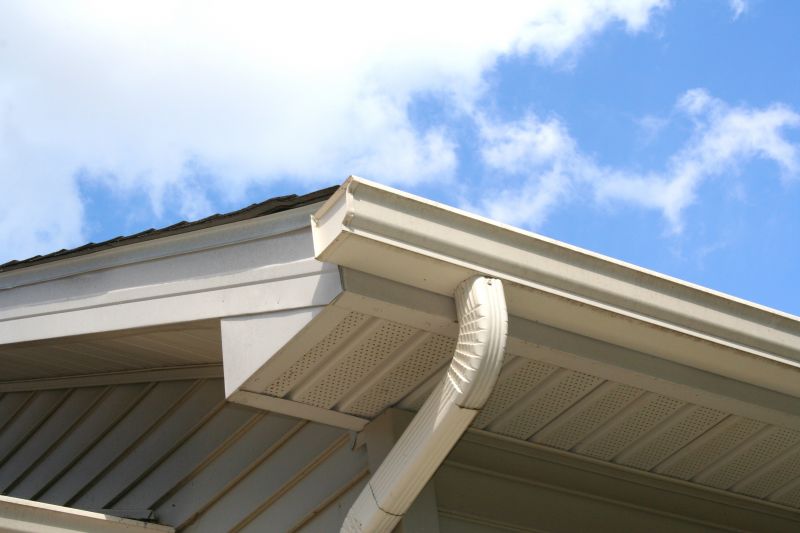 Downspout Repair in Longmont, CO